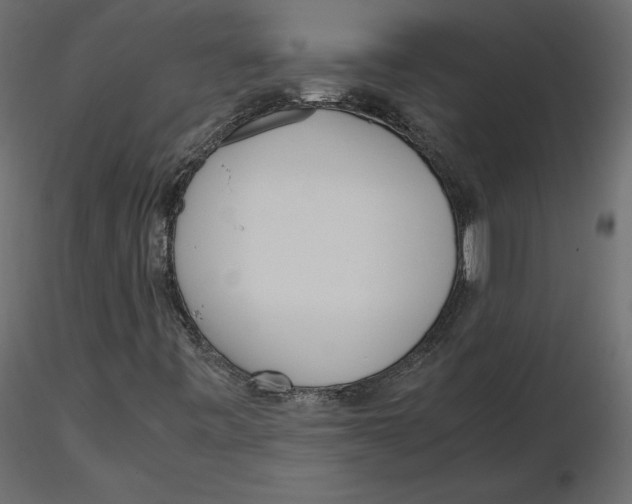 X0000116581443200912312004