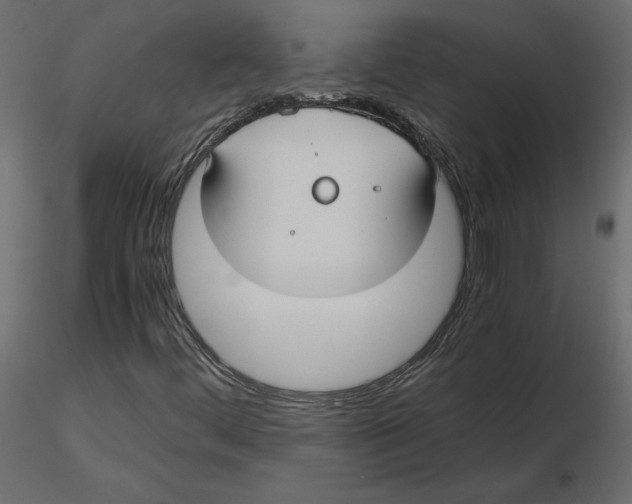 X0000116581444200912312004