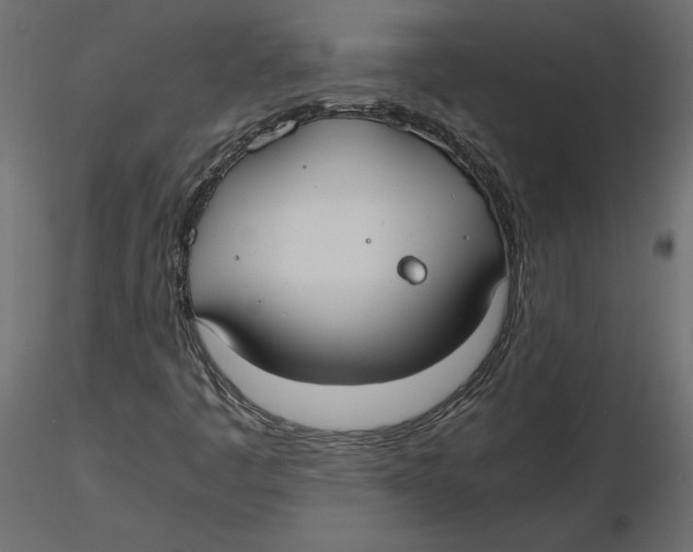 X0000116581445200912312004