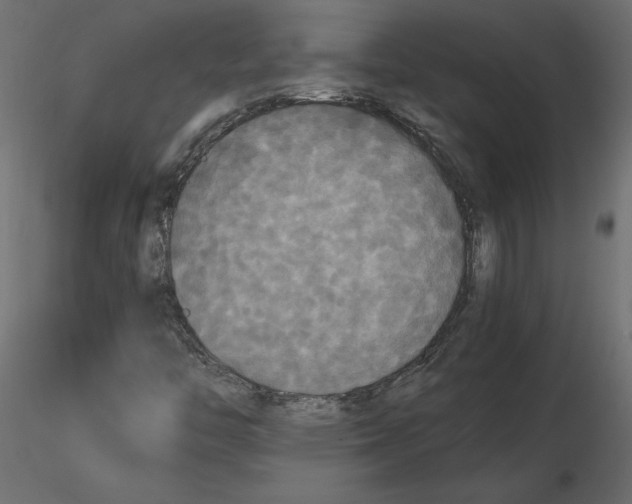 X0000116581446200912312004