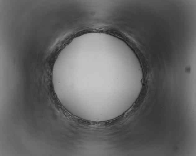 X0000116581447200912312004