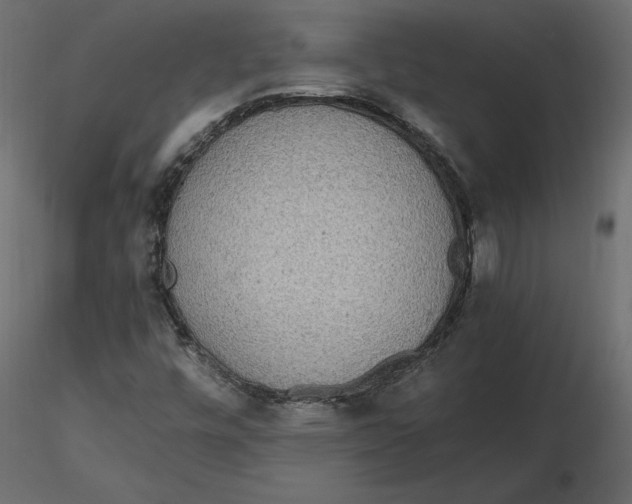 X0000116581448200912312004