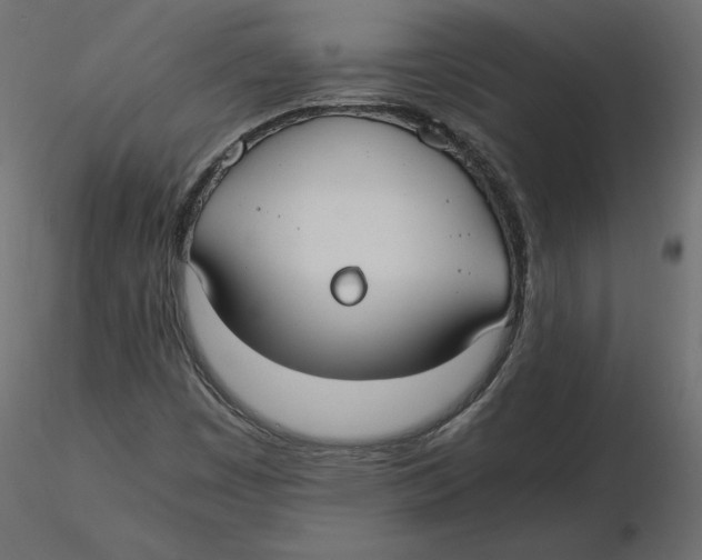 X0000116581449200912312004