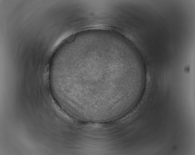 X0000116581450200912312004