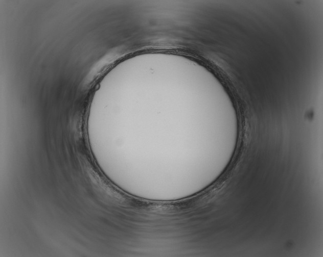 X0000116581451200912312004