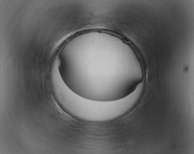 X0000116581452200912312004