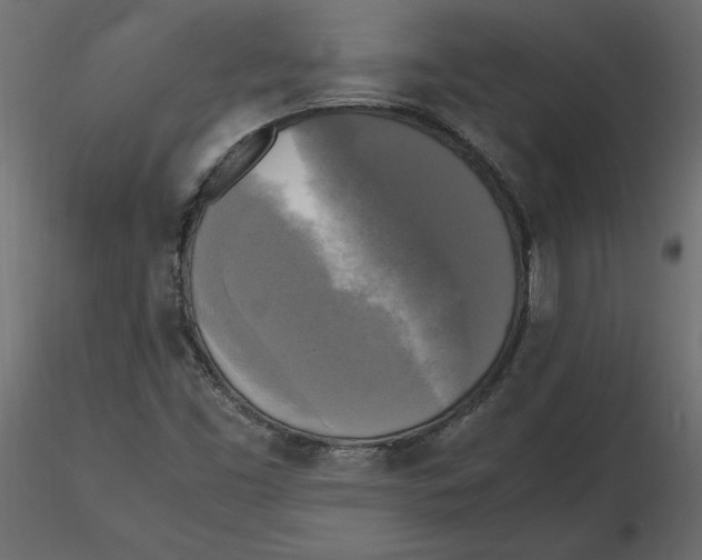 X0000116581453200912312004