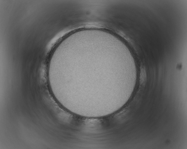 X0000116581454200912312004