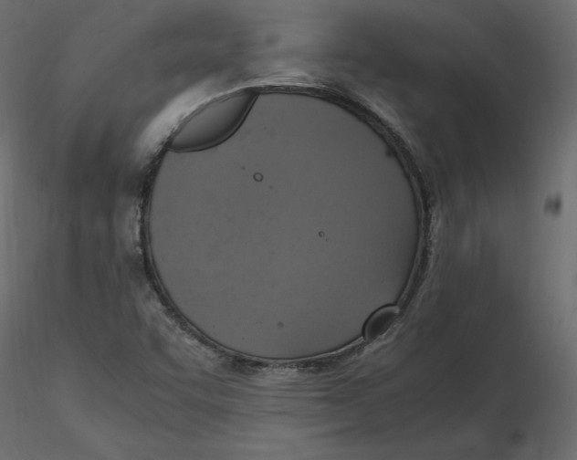 X0000116581455200912312004