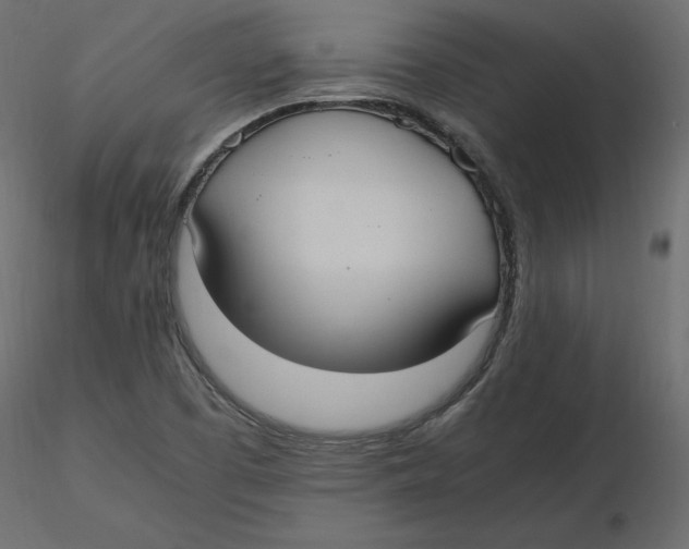 X0000116581457200912312004