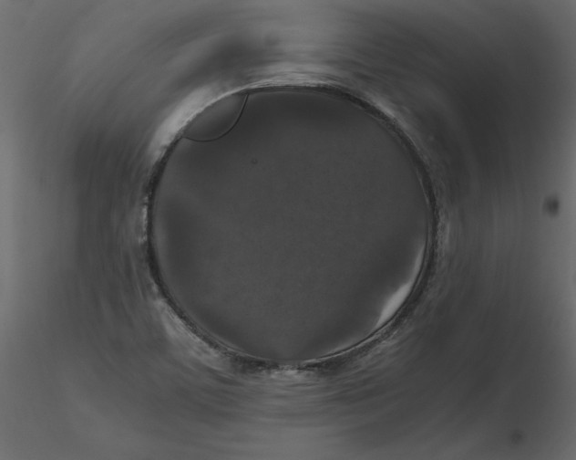 X0000116581459200912312004