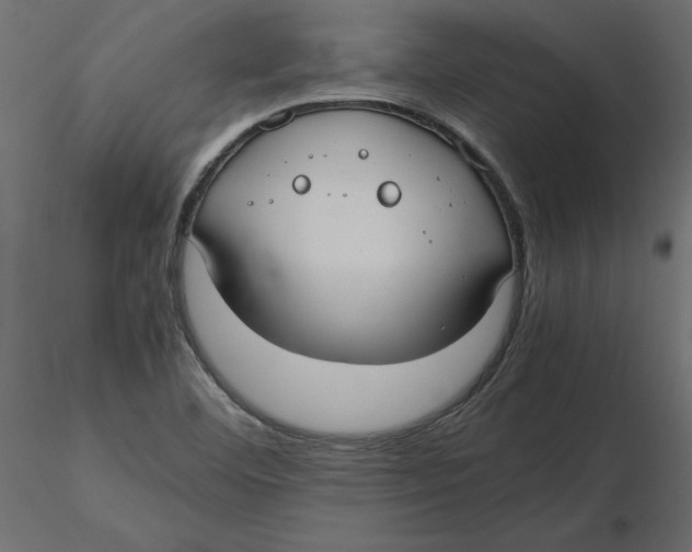 X0000116581460200912312004