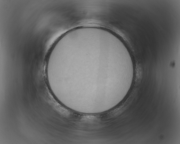 X0000116581462200912312004