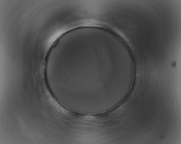 X0000116581463200912312004