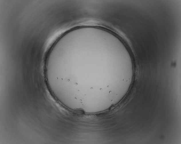 X0000116581464200912312004