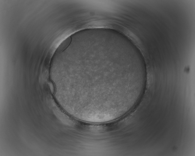 X0000116581465200912312004