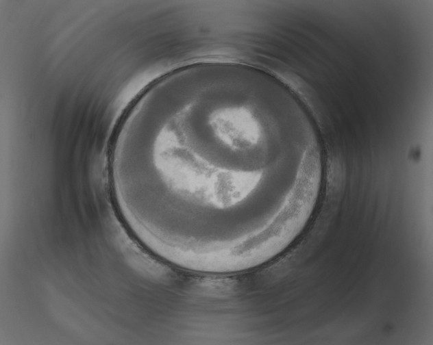 X0000116581466200912312004