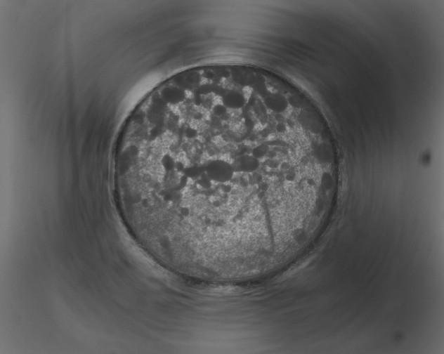 X0000116581467200912312004