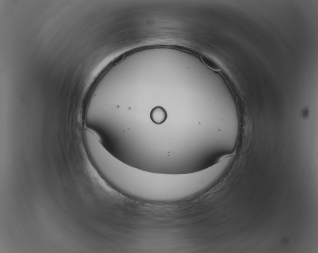 X0000116581468200912312004