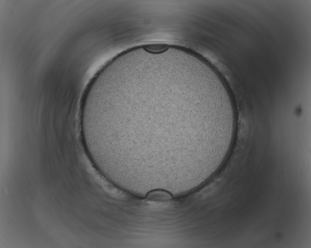 X0000116581469200912312004