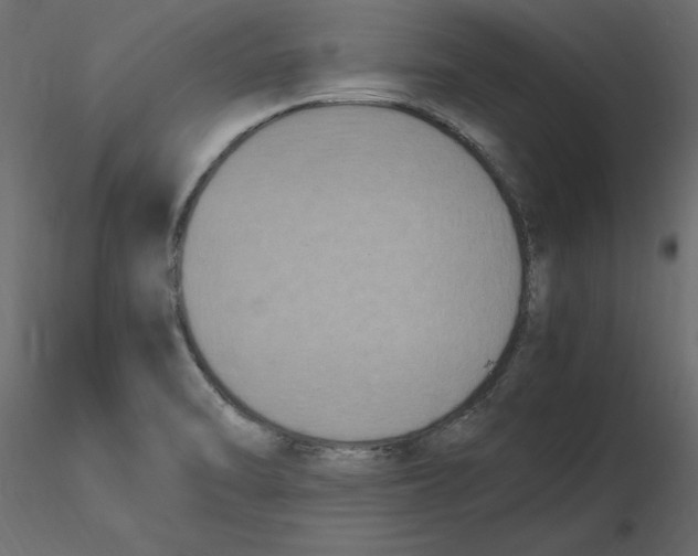 X0000116581470200912312004