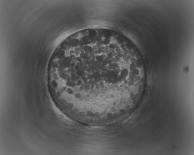 X0000116581471200912312004