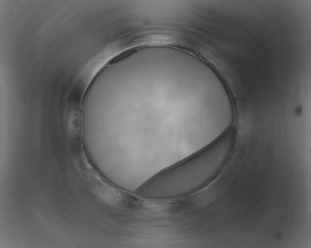 X0000116581473200912312004