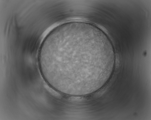 X0000116581474200912312004