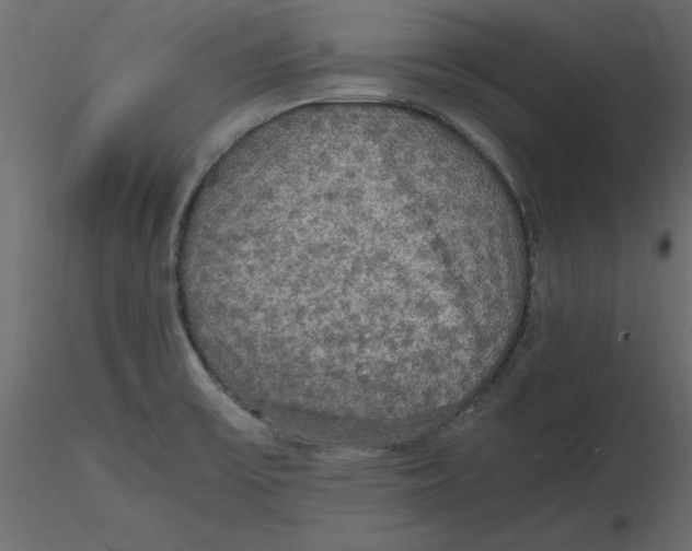 X0000116581475200912312004