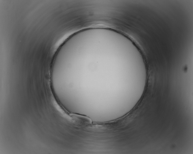 X0000116581476200912312004