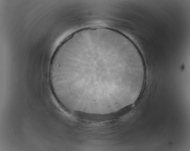 X0000116581477200912312004