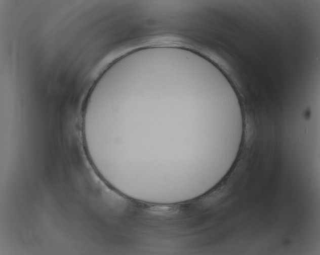 X0000116581478200912312004