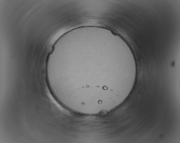 X0000116581479200912312004