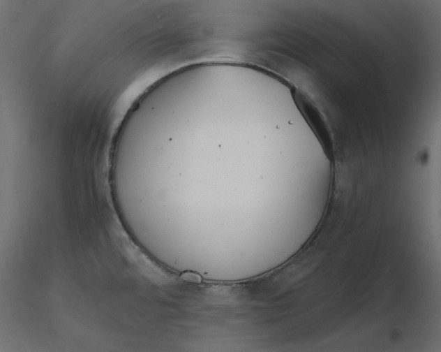 X0000116581480200912312004