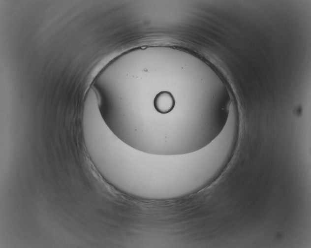 X0000116581481200912312004