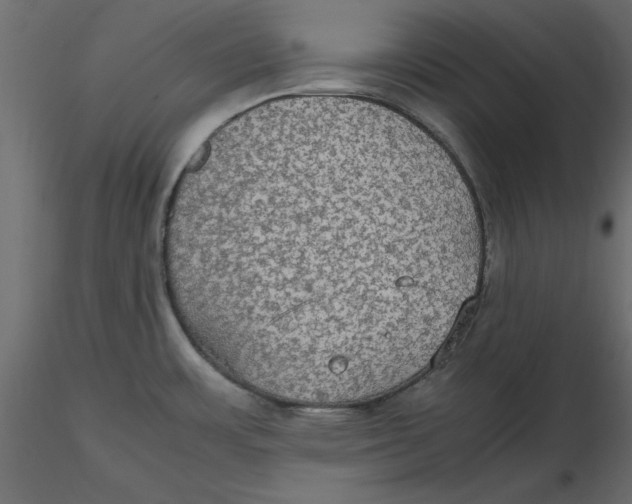 X0000116581483200912312004