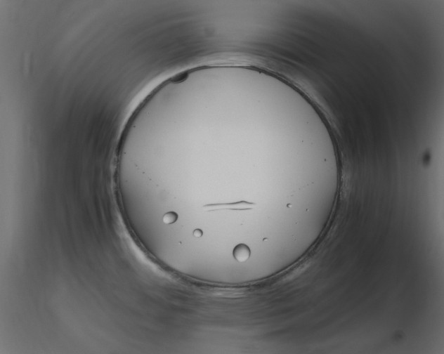 X0000116581484200912312004