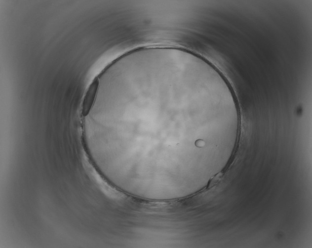 X0000116581485200912312004