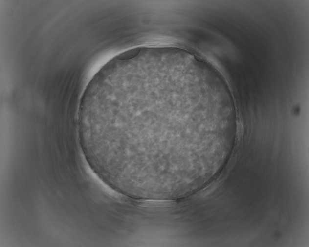 X0000116581487200912312004