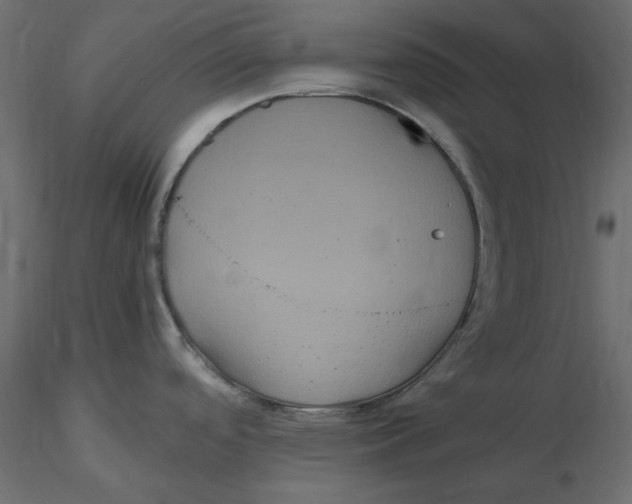 X0000116581488200912312004