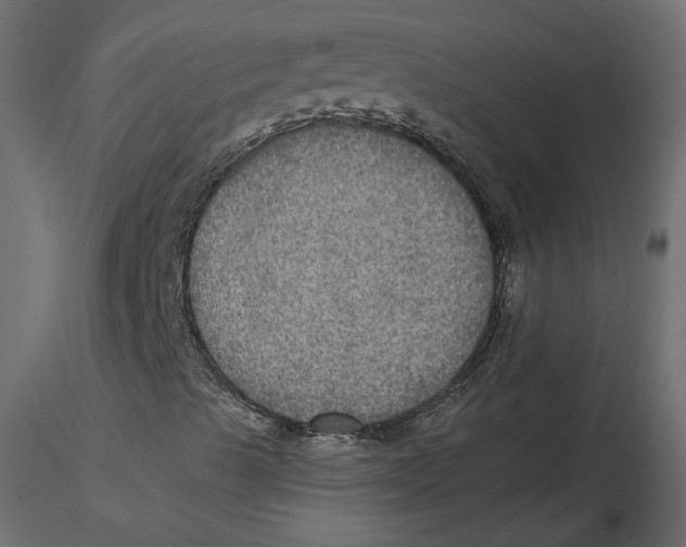 X0000116581489200912312003