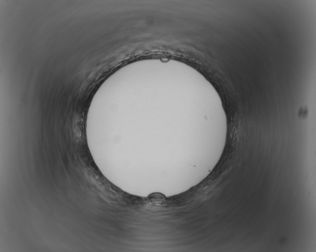 X0000116581490200912312003