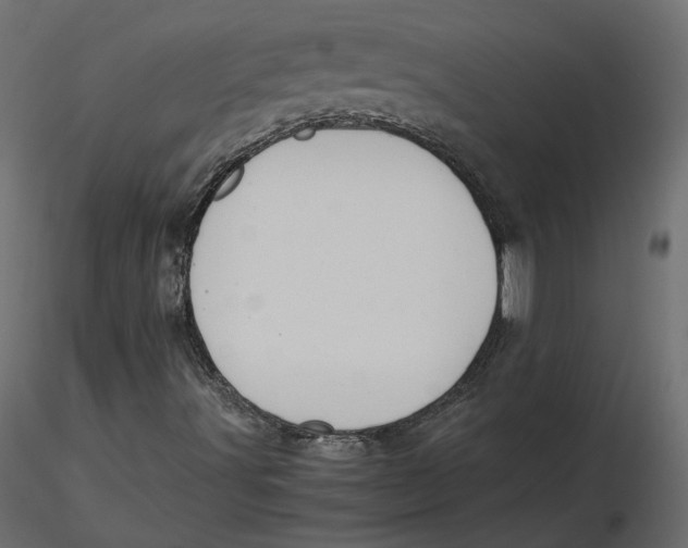 X0000116581491200912312003