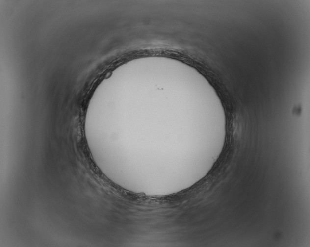 X0000116581493200912312003