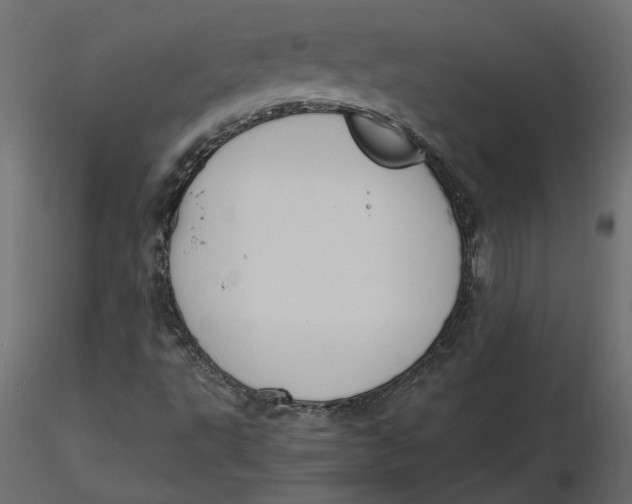 X0000116581495200912312003