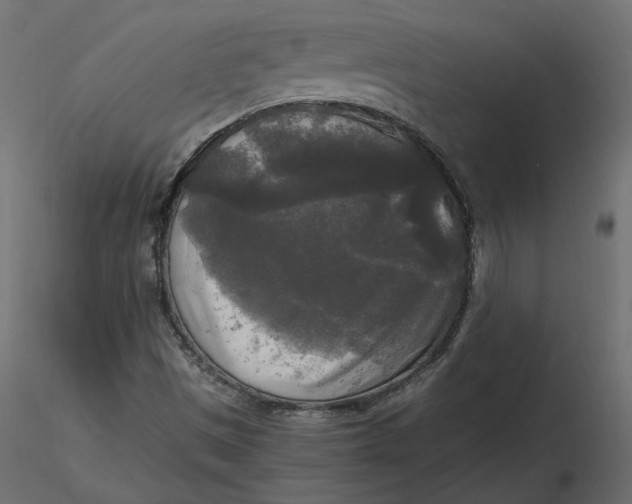 X0000116581497200912312003