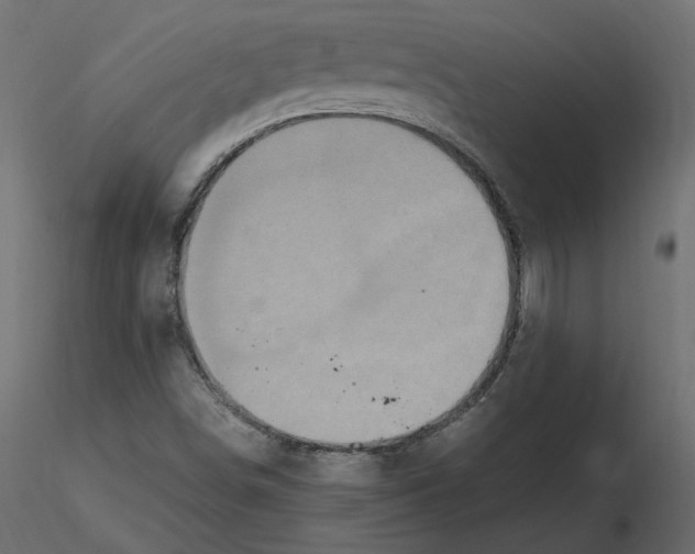 X0000116581498200912312003