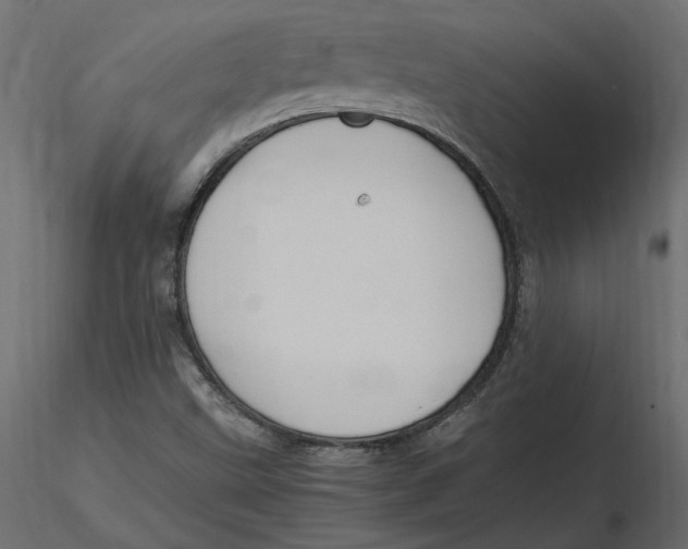 X0000116581499200912312003