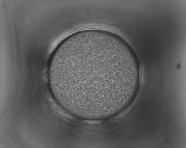 X0000116581501200912312003