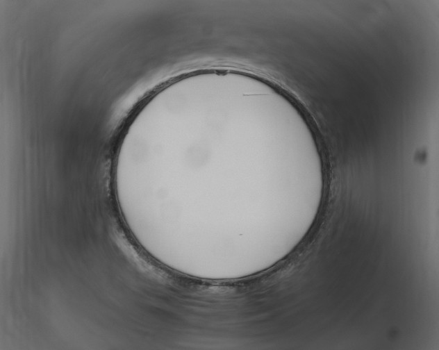 X0000116581503200912312003